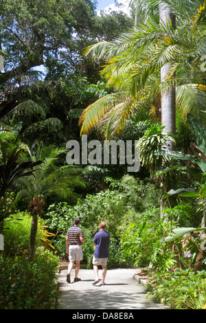 Floride Saint Saint-Pétersbourg, Sunken Gardens, botanique, plantes, arbres, les visiteurs voyage visite touristique touristique site touristique monuments culture culturelle, Banque D'Images