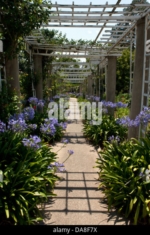 Sentier polyvalent le long du côté de la Roseraie, la Huntington Library, Art Collection, et des Jardins Botaniques San Marino, Californie, États-Unis d'Amérique Banque D'Images