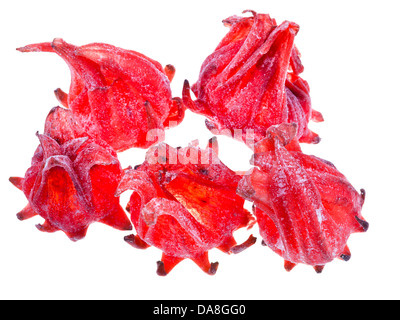 Fleurs d'hibiscus séchées fruits isolé sur fond blanc Banque D'Images