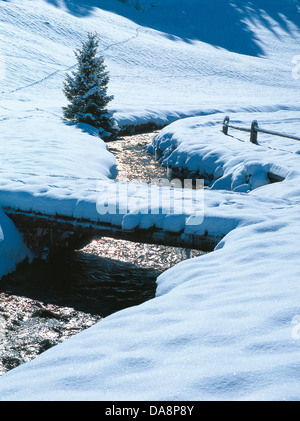 L'Autriche, Europe, Tyrol, Wipptal, Obernberg am Brenner, hiver, Brook, de l'eau, neige, arbre, l'épinette, d'une clôture, la neige, les pistes, traces, wi Banque D'Images