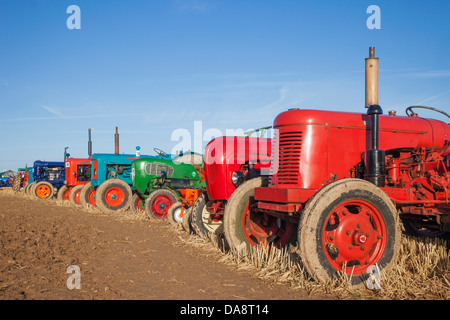 L'Angleterre, dans le Dorset, Blanford, le grand vapeur Dorset Fair, tracteurs Vintage Banque D'Images