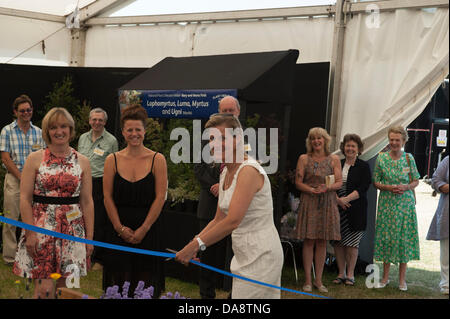 Hampton Court Palace, Surrey, UK. 8 juillet, 2013. La Comtesse de Wessex ouvre officiellement le patrimoine végétal chapiteau au RHS Hampton Court Palace Flower Show. Credit : Malcolm Park/Alamy Live News Banque D'Images