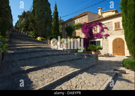 Îles Baléares, Majorque, Mallorca, Espagne, Europe, à l'extérieur, sur la montagne Calvari, escalier, Pollenca, jour, personne, Banque D'Images