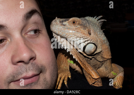 Head shot of man avec Iguana, regardant sur fond noir Banque D'Images