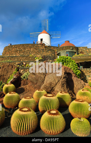L'Espagne, Europe, Îles Canaries, Guatiza, Lanzarote, cactus, plantes, jardin, île, coucher du soleil, éolienne Banque D'Images