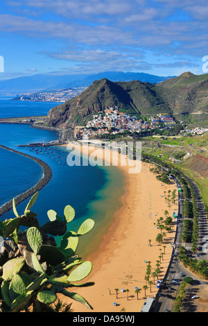 L'Espagne, Europe, Îles Canaries, Las Teresitas, plage, San Andres, l'île de Tenerife, Tenerife, Teneriffa, beach, blue, cactus, famo Banque D'Images