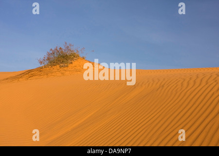 L'Asie, à l'extérieur, les dunes, les paysages, Mui, Mui Ne, de la nature, SW, personne, rouge, Asie du Sud-Est, Südvietnam, dunes de sable, rouge, Vietnam, Viet Banque D'Images