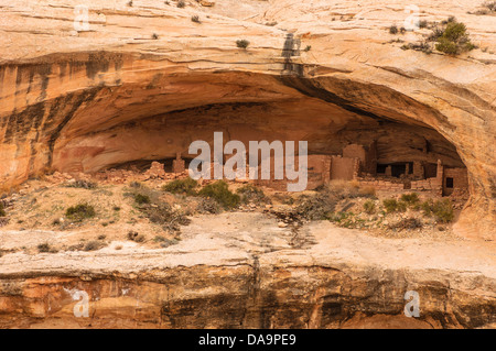 Butler laver ruines Anasazi à Cedar Mesa. Banque D'Images