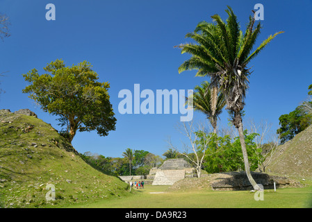 La ville de Belize, en Amérique centrale, le Belize, Altun HA, Maya, archéologique, pyramide, Indien Banque D'Images