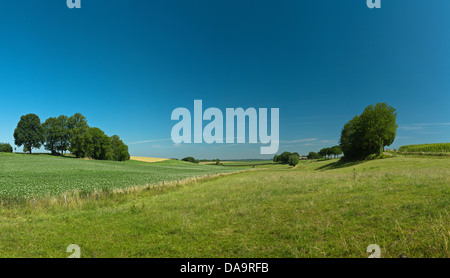 Pays-bas, la Hollande, l'Europe, Termoors, Klimmen, vallonné, Hill, campagne, paysage, champ, prairie, arbres, l'été, les collines, Banque D'Images