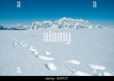 Imprime en raquettes sur un glacier en montagnes St. avec Mont Logan dans la distance, Yukon, Canada. Banque D'Images