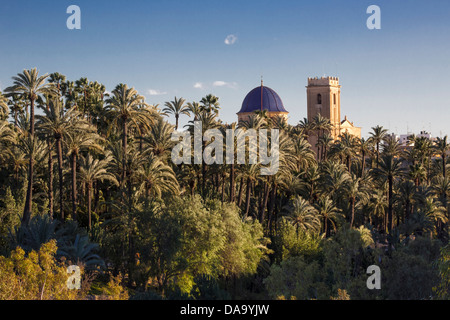 L'Espagne, l'Europe, région de Valence, Alicante Province, beffroi, église, Elche, célèbre, gardens, palm, touristique, arbres, UNESCO, World Banque D'Images