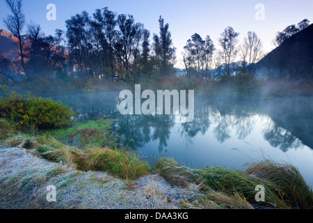 Bolle di Magadino, Suisse, Europe, canton du Tessin, lac, Lago Maggiore, réserve naturelle, forêt alluviale, bois, arbre, forêt Banque D'Images