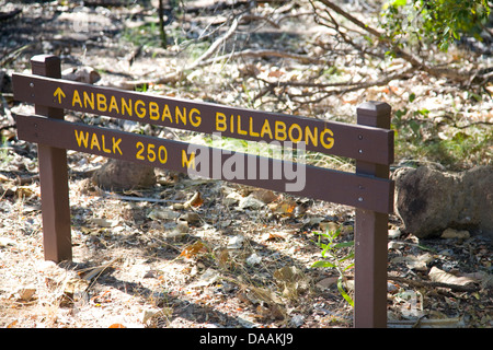 250 m à pied de anbangbang billabong dans le Kakadu National Park, Australie Banque D'Images