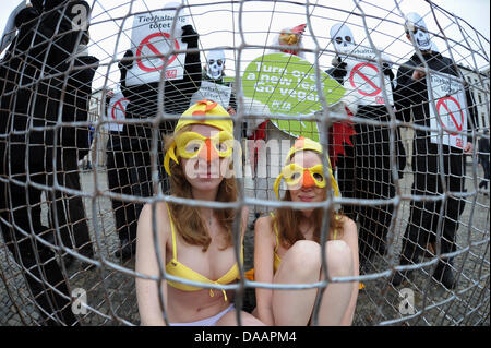 Les militants de PETA protester contre l'agriculture industrielle à Berlin, Allemagne, 21 janvier 2011. Photo : Hannibal Banque D'Images