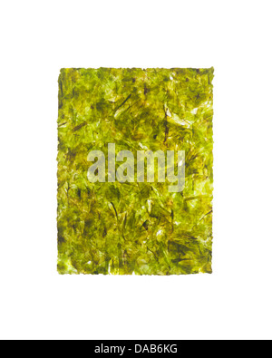 Nori, encas aux algues grillées Banque D'Images