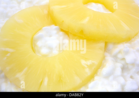 Une vue très étroite de deux tranches d'ananas sur les grands anneaux caillé fromage cottage. Banque D'Images