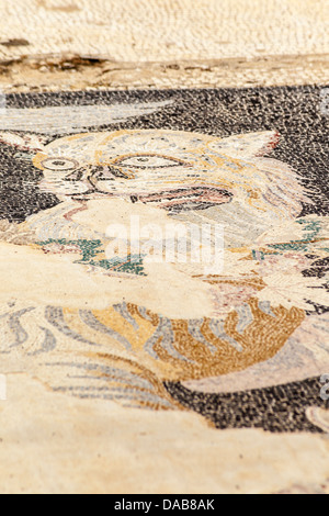 Mosaïque sur étage de la Maison de Dionysos, Site archéologique de Delos, Delos, près de Mykonos, Grèce Banque D'Images