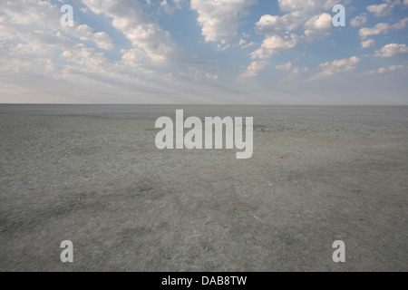 Le sec d'Etosha est un grand pan de sel endoréiques, faisant partie du bassin du Kalahari dans le nord de la Namibie. Banque D'Images