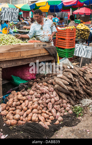 Vendeur de légumes Légumes stands boutiques shopping dans le marché local du marché central à Chiclayo, Pérou. Banque D'Images