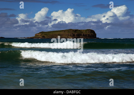 La tête de l'Île Cook et Fingal, New South Wales, Australie. Banque D'Images