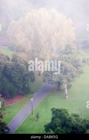 Regardant vers le bas sur un misty Flagstaff Gardens dans le centre-ville de Melbourne en Australie. Banque D'Images