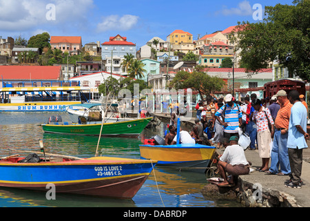 La vente du poisson dans le Carenage, St Georges, Grenade, Îles du Vent, Antilles, Caraïbes, Amérique Centrale Banque D'Images