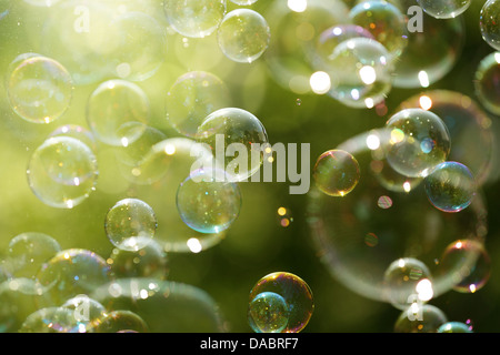 La lumière du soleil d'été et des bulles de savon Banque D'Images