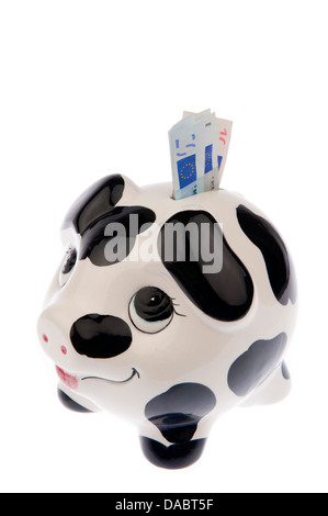 Tirelire Vache noir et blanc avec des taches, regardant vers le haut avec une variété de billets en euros dans son logement, isolé côté gauche Banque D'Images