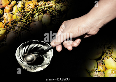 L'huile de noix de coco dans un bol en verre. Banque D'Images