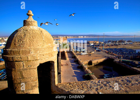 Bastion Nord vue sur Essaouira, Maroc, Afrique du Nord, Afrique Banque D'Images