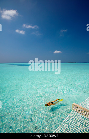 La plongée aux Maldives, l'Océan Indien, l'Asie Banque D'Images