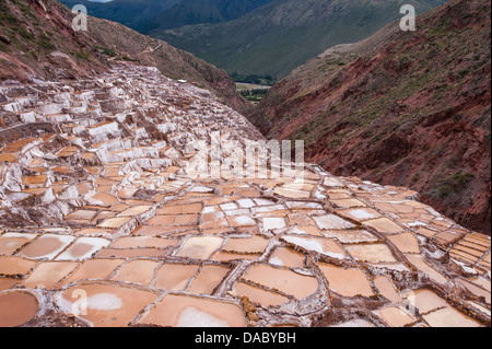 Salines (mines) à Maras, la Vallée Sacrée, le Pérou, Amérique du Sud Banque D'Images