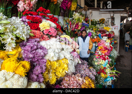 Femme Inca vendeuse de fleurs a tendance vend vente de fleurs produisent des fleurs boutique de blocage sur le marché local au centre-ville de Cusco, Pérou. Banque D'Images
