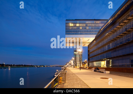 Maisons de la grue Rheinauhafen à Cologne en Allemagne avec un couple sur un banc à l'avant-plan. Banque D'Images