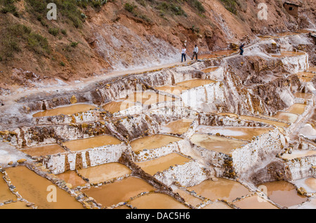 Salinas de Maras les étangs d'eau salée avec terrasse panoramique, terrasses des mines Mines Vallée Sacrée, le Pérou. Banque D'Images