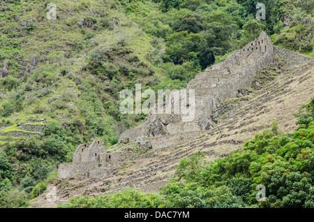 Inca Inca antiques ruines archéologiques reste terrasses le long de la rivière Vilcanota Vallée Sacrée près de Aguas Calientes, au Pérou. Banque D'Images