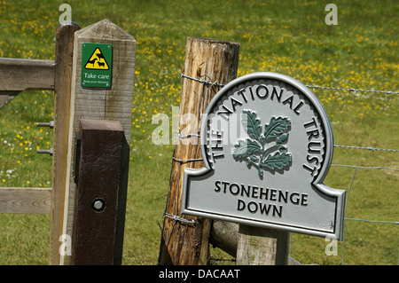 Stonehenge Wiltshire England GB UK 2013 Banque D'Images