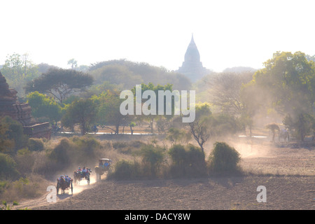 Vue sur les temples de Bagan enveloppé de brume matinale, de Shwesandaw Paya, Bagan, Myanmar (Birmanie), en Asie du sud-est Banque D'Images