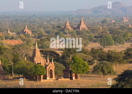 Vue sur les temples de Bagan baigné de soleil en soirée, à partir de Shwesandaw Paya, Bagan, Myanmar (Birmanie), en Asie du sud-est Banque D'Images