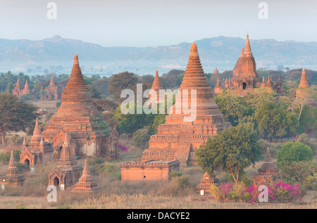 Vue sur les temples de Bagan enveloppé de brume matinale, de Shwesandaw Paya, Bagan, Myanmar (Birmanie), en Asie du sud-est Banque D'Images