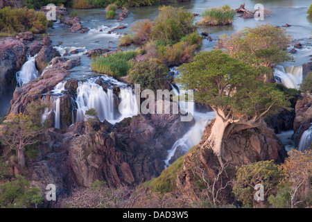 Epupa Falls sur la rivière Kunene (qui forme la frontière entre la Namibie et l'Angola), région de Kunene (anciennement Kaokoland), Namibie Banque D'Images