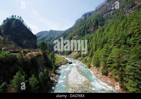 Bhote Kosi River, région de l'Everest Solu Khumbu, parc national de Sagarmatha, UNESCO World Heritage Site, Népal, Himalaya, Asie Banque D'Images