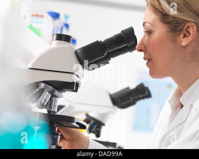 Microbiologiste femelle spécimen de visualisation sous microscope in lab Banque D'Images