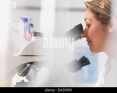 Microbiologiste femelle spécimen de visualisation sous microscope in lab Banque D'Images