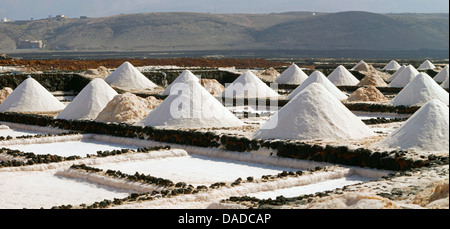 Salinas de Janubio, Canaries, Lanzarote Banque D'Images