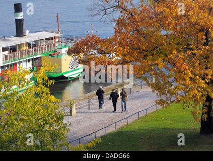 Les feuilles d'un arbre sont autmnal colorés en face de la Terrasse de Brühl sur les rives de l'Elbe à Dresde, Allemagne, 24 octobre 2011. Photo : MATTHIAS HIEKEL Banque D'Images