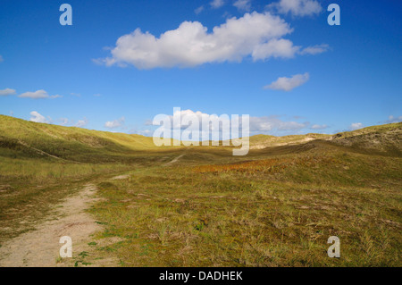 Chemin de randonnée dans les dunes de Julianadorp aan Zee, Pays-Bas, nord des Pays-Bas Banque D'Images