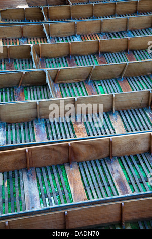 Plates sous le Pont-de-la-Madeleine, Oxford, UK Banque D'Images