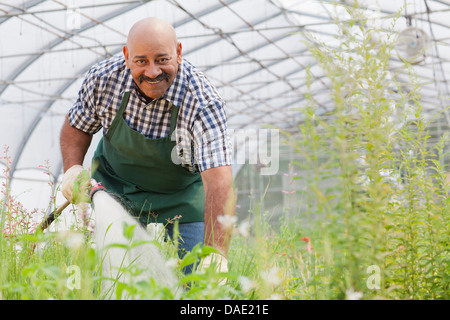 Man watering plants in garden centre, portrait Banque D'Images